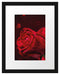 Rote Rosen Valentinstag Passepartout 38x30