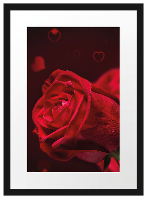Rote Rosen Valentinstag Passepartout 55x40