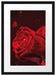 Rote Rosen Valentinstag Passepartout 55x40