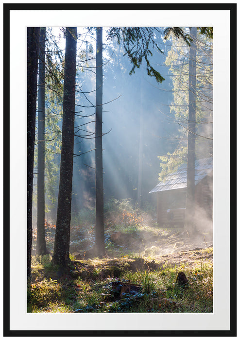 Sonnenstrahlen im Wald Passepartout 100x70