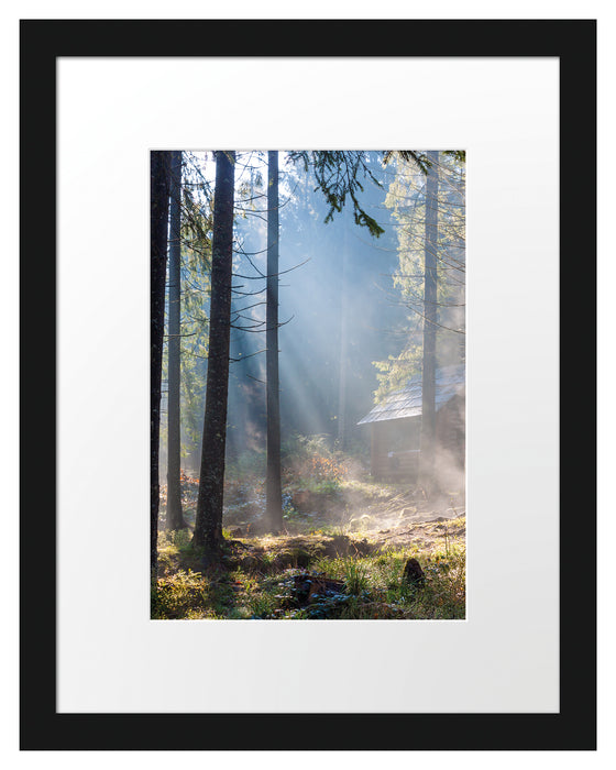 Sonnenstrahlen im Wald Passepartout 38x30