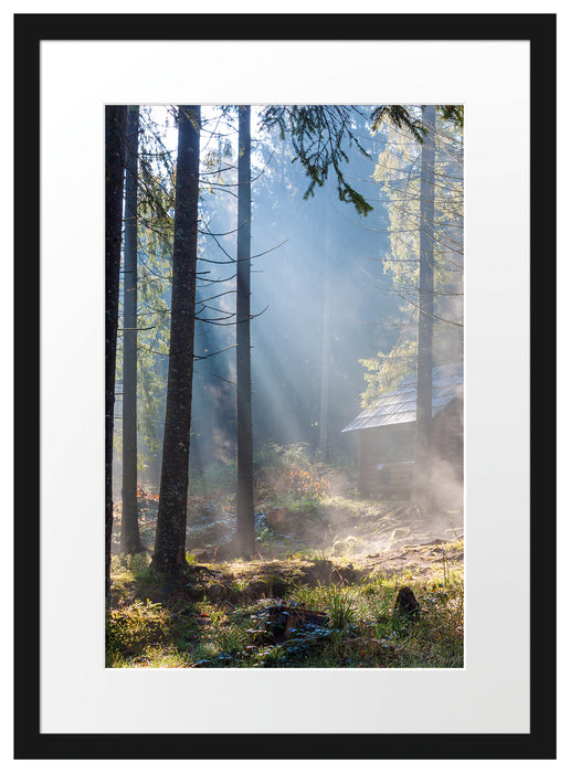 Sonnenstrahlen im Wald Passepartout 55x40