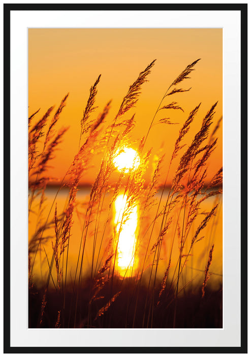 Pixxprint Sonne zwischen Gräsern, im Galerie-Passepartout Bilderrahmen