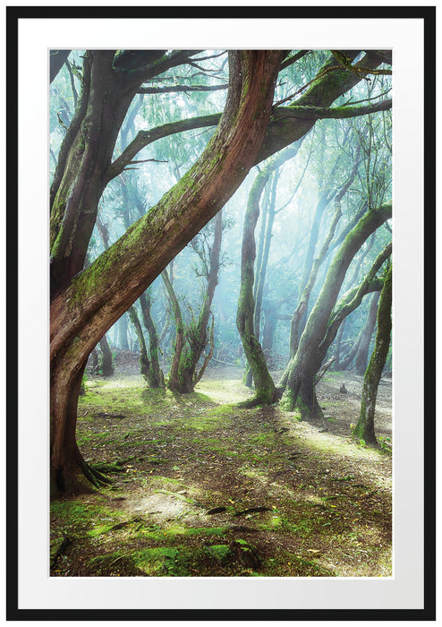 Pixxprint Wald B&W, im Galerie-Passepartout Bilderrahmen