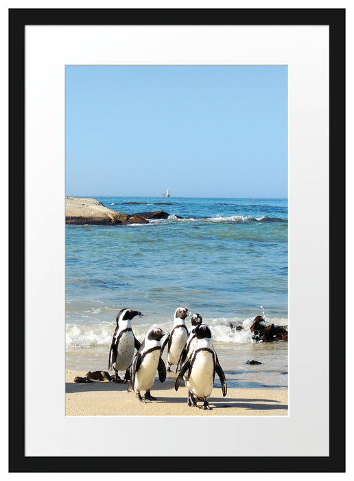 Pinguine am Strand Passepartout 55x40