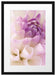 Traumhafte lila weiße Blüte Passepartout 55x40