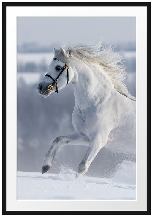 Weißes Pferd auf Schneewiese B&W Passepartout 100x70