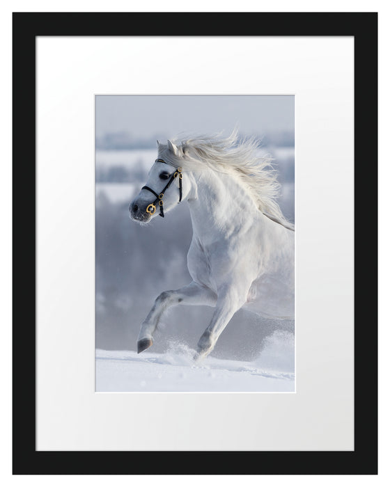 Weißes Pferd auf Schneewiese B&W Passepartout 38x30