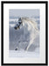 Weißes Pferd auf Schneewiese B&W Passepartout 55x40