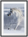 Weißes Pferd auf Schneewiese B&W Passepartout 80x60
