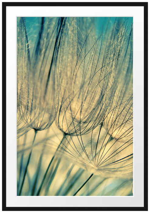 Pixxprint Pusteblumen, im Galerie-Passepartout Bilderrahmen