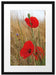 Mohnblumen im Getreidefeld B&W Passepartout 55x40