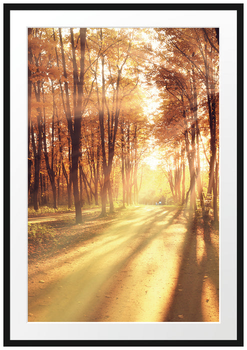 Pixxprint Baumallee im Herbst, im Galerie-Passepartout Bilderrahmen