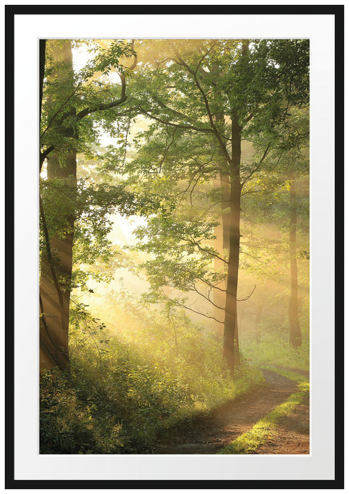 Pixxprint Waldweg B&W, im Galerie-Passepartout Bilderrahmen