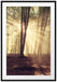 Waldlichtung im Sonnenschein Passepartout 100x70