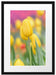 Gelbe Tulpen im Frühling B&W Passepartout 55x40