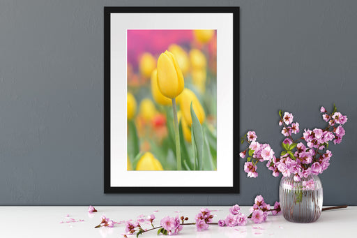 Gelbe Tulpen im Frühling B&W Passepartout Wohnzimmer