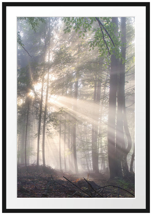 Pixxprint diesiger Waldweg, im Galerie-Passepartout Bilderrahmen