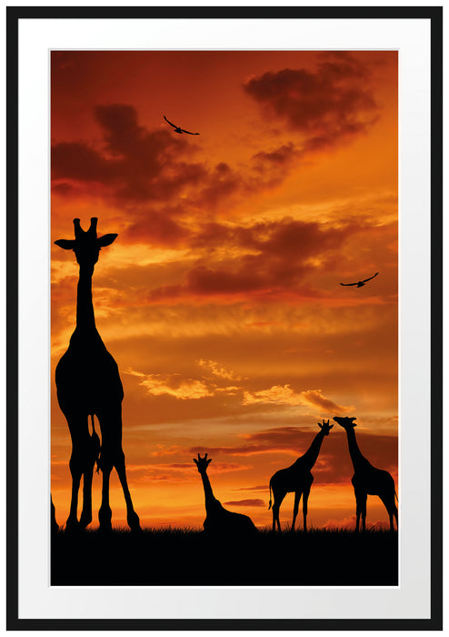 Pixxprint Afrika Giraffen im Sonnenuntergang, im Galerie-Passepartout Bilderrahmen