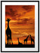 Afrika Giraffen im Sonnenuntergang Passepartout 80x60
