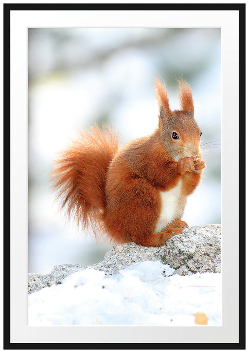 Eichhörnchen im Schnee Passepartout 100x70