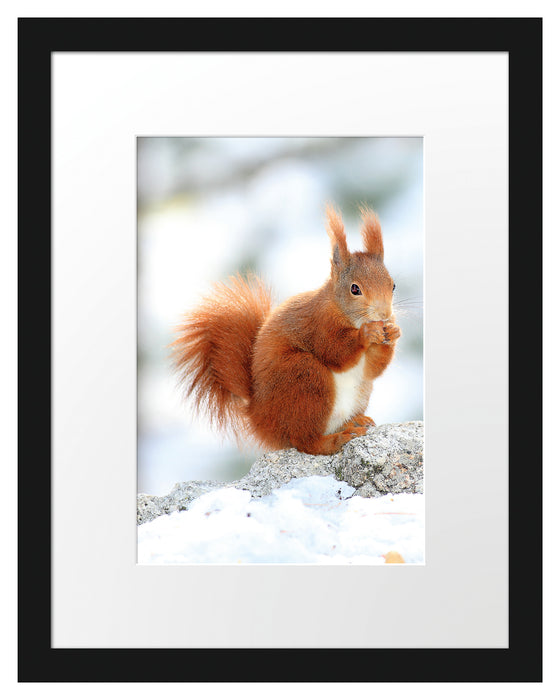 Eichhörnchen im Schnee Passepartout 38x30