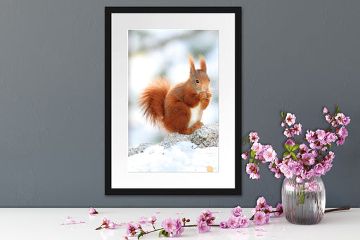 Eichhörnchen im Schnee Passepartout Wohnzimmer