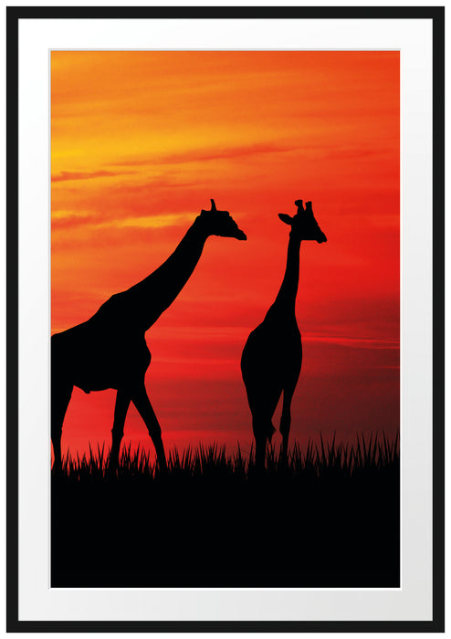 Pixxprint Afrika Giraffen im Sonnenuntergang, im Galerie-Passepartout Bilderrahmen