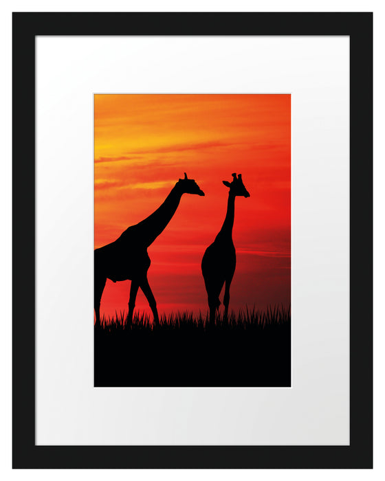 Afrika Giraffen im Sonnenuntergang Passepartout 38x30