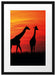 Afrika Giraffen im Sonnenuntergang Passepartout 55x40