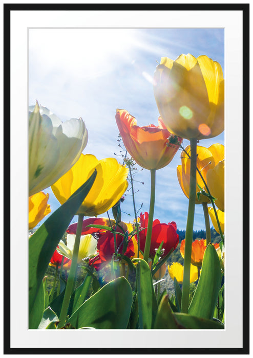 Pixxprint Wiese Froschperspektive B&W, im Galerie-Passepartout Bilderrahmen