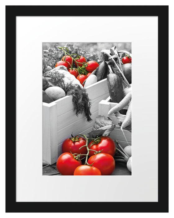 Tomaten im Gemüsekorb Passepartout 38x30