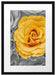 gelbe Rose im Rosenmeer Passepartout 55x40