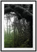 Regenwald in seiner ganzen Pracht Passepartout 100x70