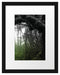 Regenwald in seiner ganzen Pracht Passepartout 38x30