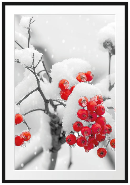 Rote Vogelbeeren im Winter Passepartout 100x70