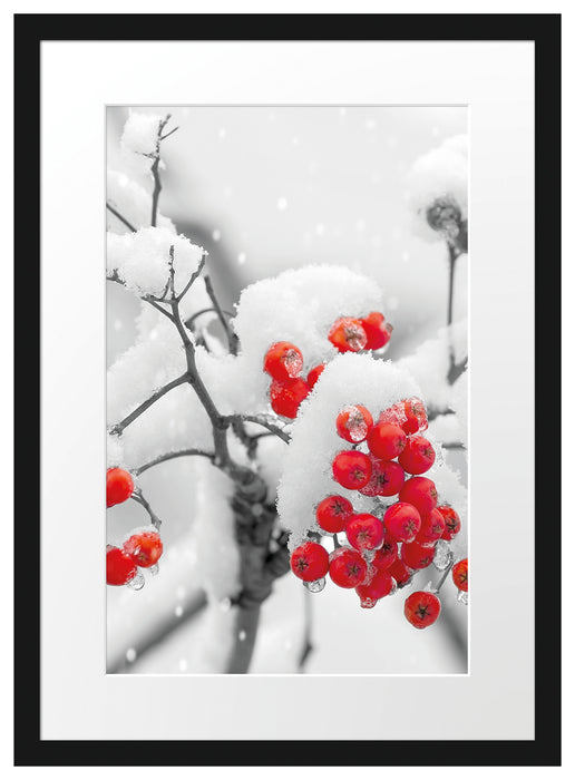 Rote Vogelbeeren im Winter Passepartout 55x40