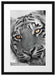 entspannter Tiger schwarz/weiß Passepartout 55x40