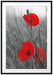 Mohnblüten Passepartout 100x70