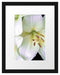 Dark Orchideenblüten schwarz/weiß Passepartout 38x30