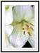 Dark Orchideenblüten schwarz/weiß Passepartout 80x60