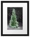 Weihnachtsbaum im Winterwald Passepartout 38x30