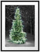 Weihnachtsbaum im Winterwald Passepartout 80x60