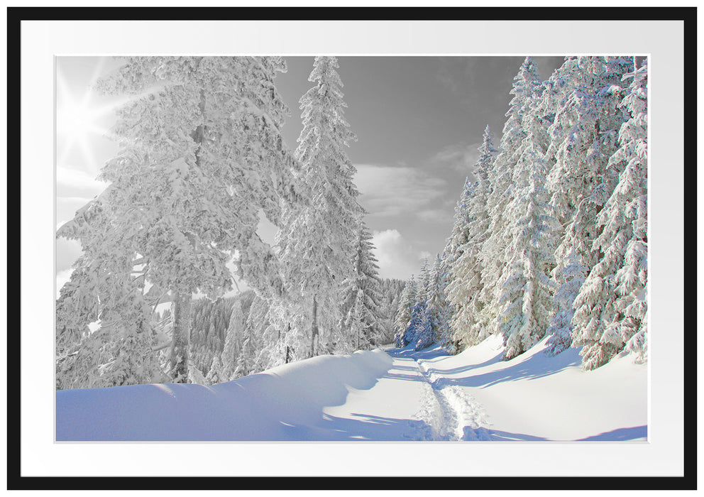 Pixxprint Winterlandschaft mit Bäumen, im Galerie-Passepartout Bilderrahmen