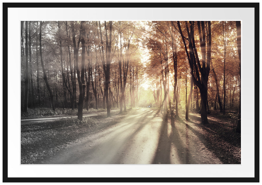 Pixxprint Allee im Herbstlicht, im Galerie-Passepartout Bilderrahmen