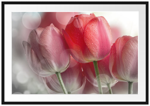 Wunderschöne Tulpen Passepartout 100x70
