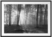 Wald mit Sonnenstrahlen Passepartout 100x70