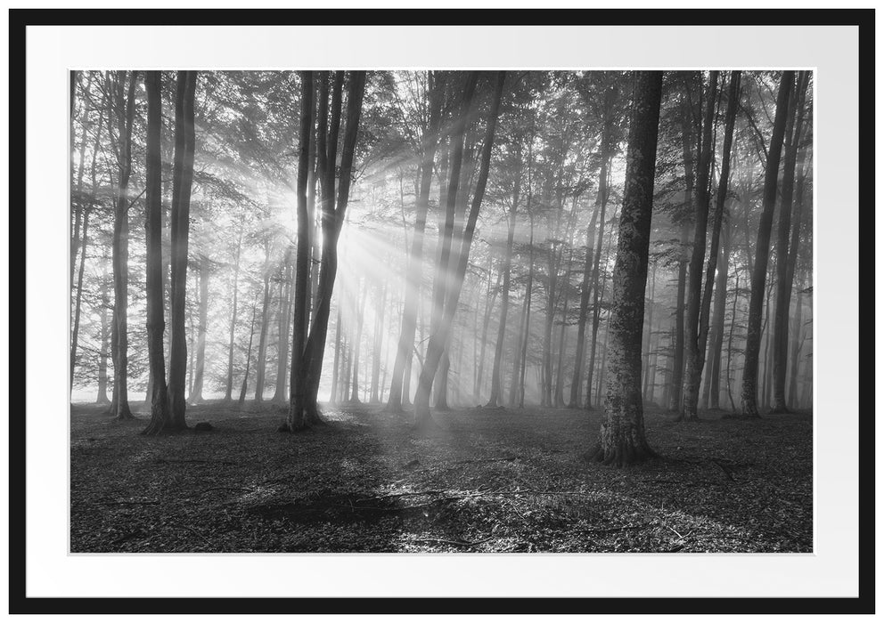 Pixxprint Wald mit Sonnenstrahlen, im Galerie-Passepartout Bilderrahmen