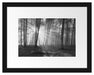 Wald mit Sonnenstrahlen Passepartout 38x30