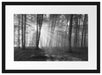 Wald mit Sonnenstrahlen Passepartout 55x40